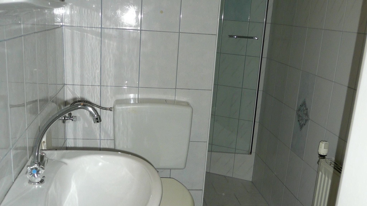 Photo of Bathroom in Tropolach