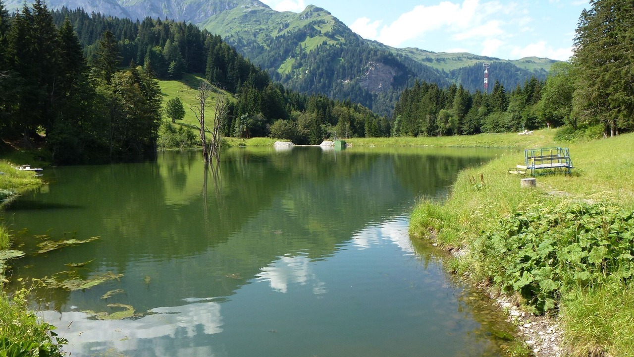 Photo of Others in Tropolach