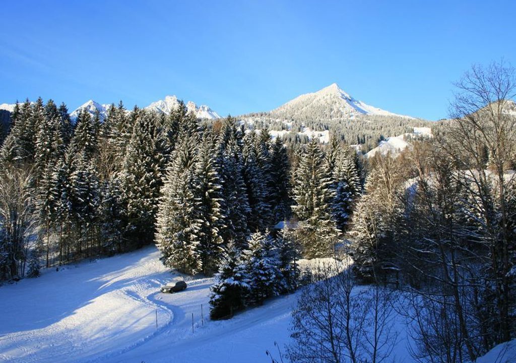 Photo of Others in Buerserberg