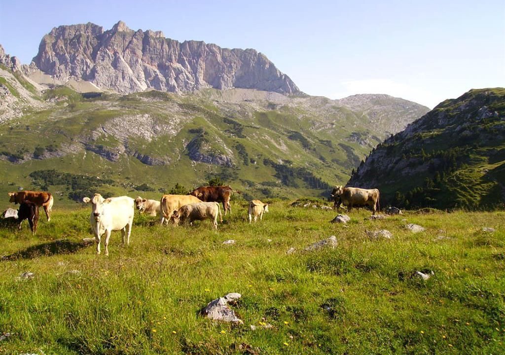 Photo of Others in Dalaas