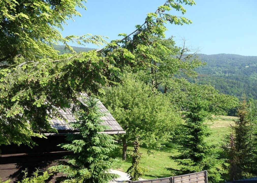 Photo of Outdoor in Bodensdorf