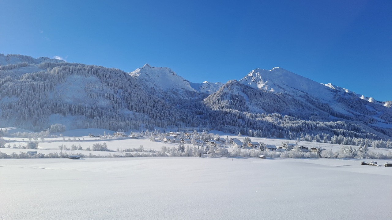 Photo of Others in Tannheim