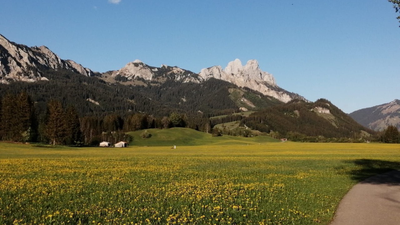 Photo of Others in Tannheim