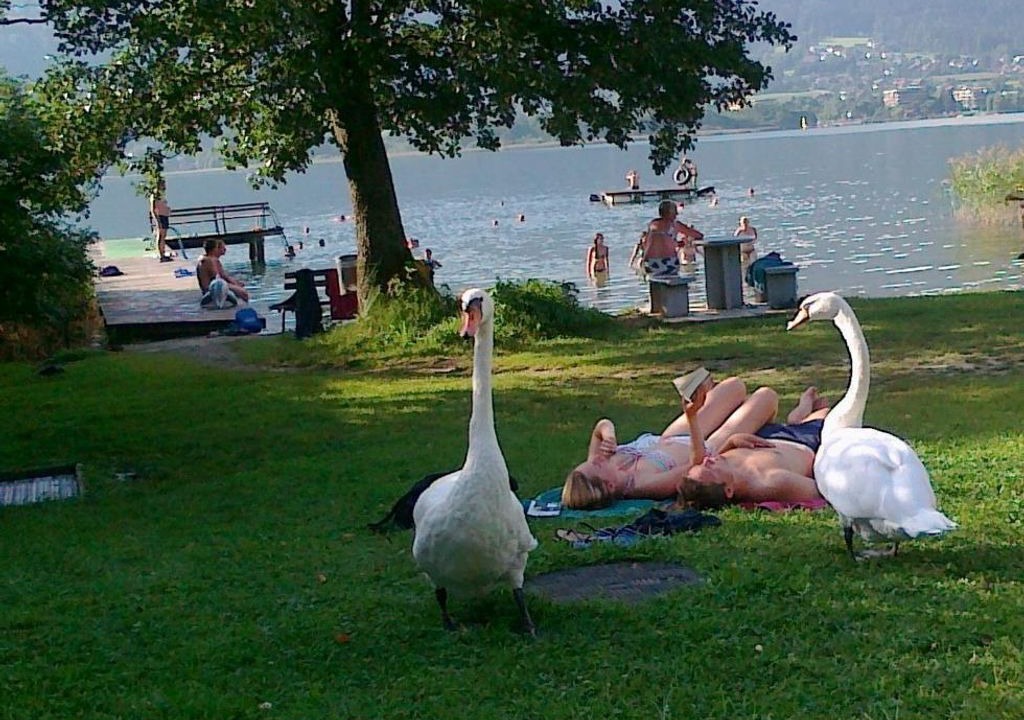 Photo of Outdoor in Ossiach