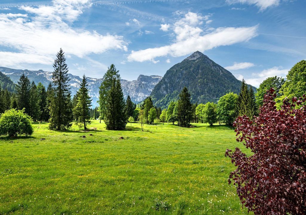 Photo of Others in Pertisau