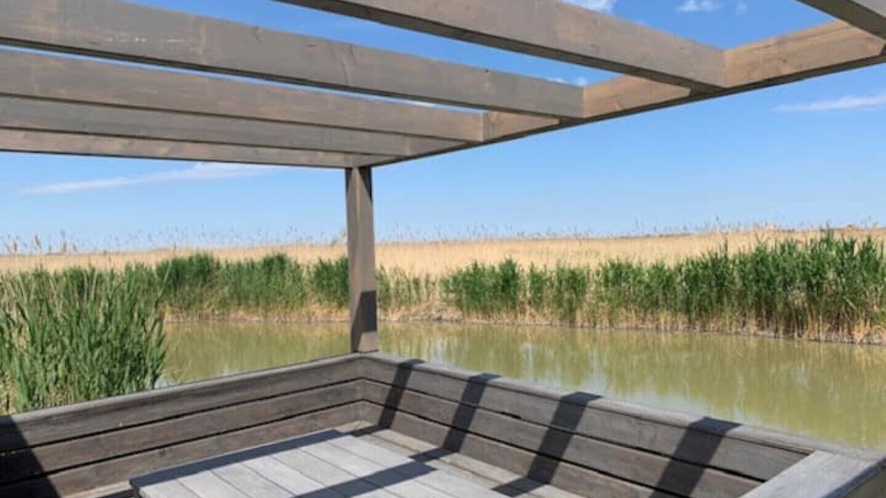 Photo of Outdoor in Rust