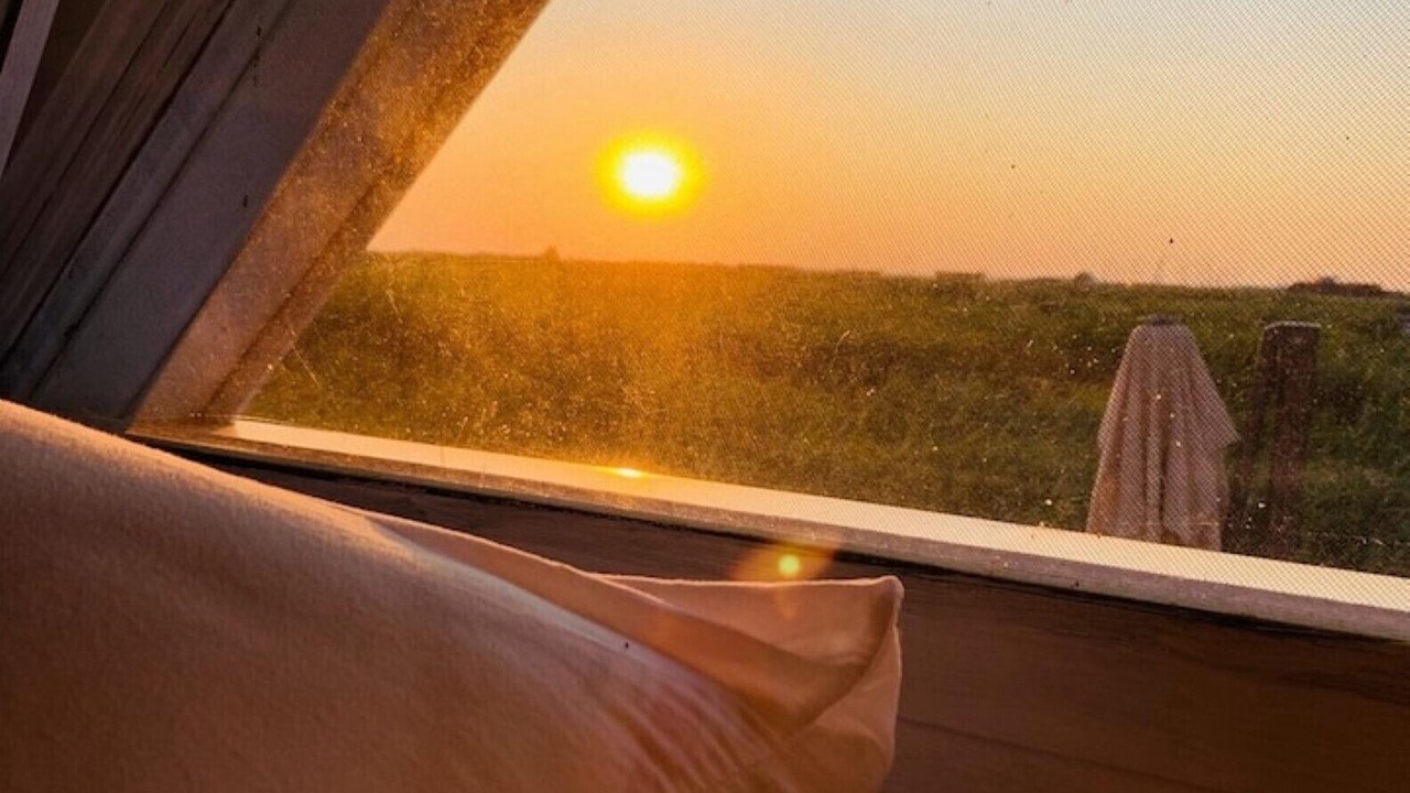 Photo of Others in Rust