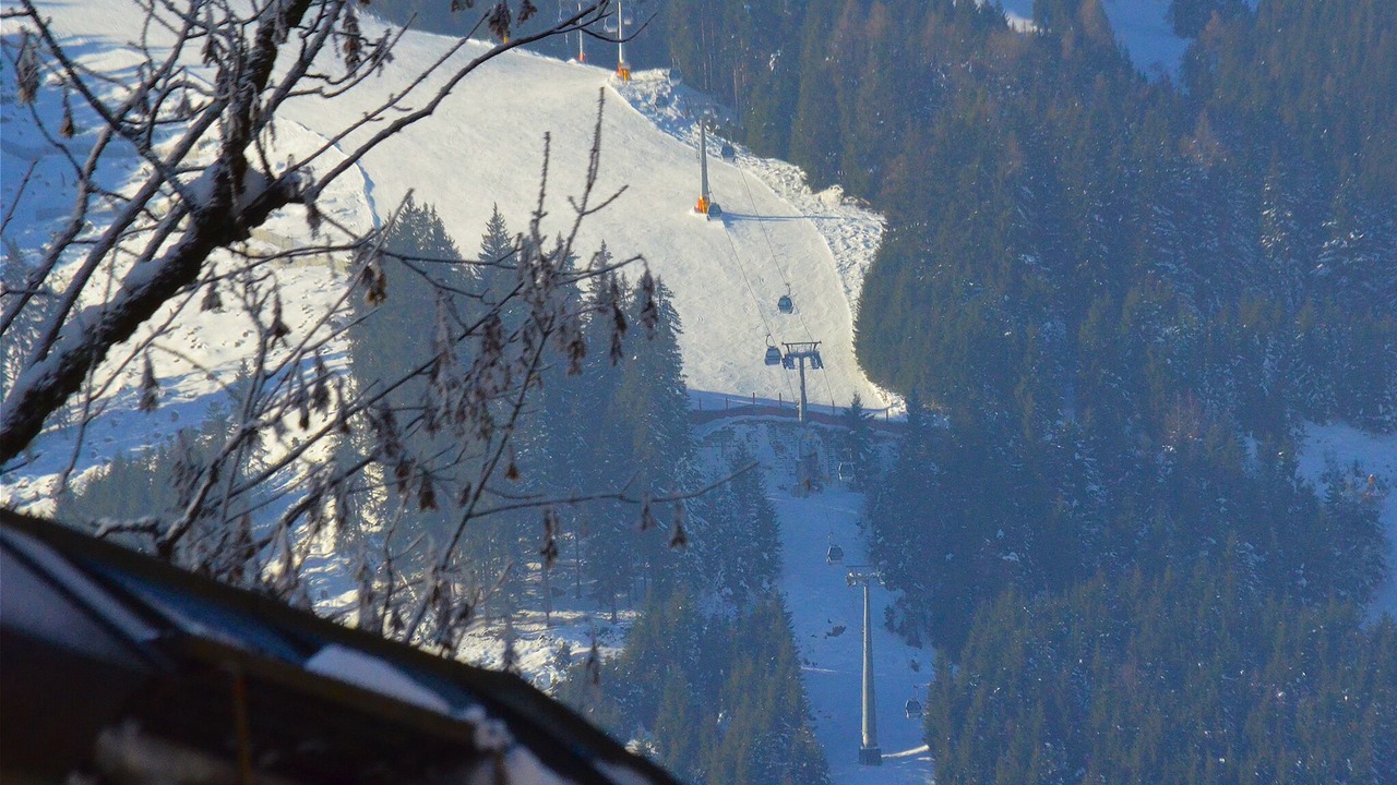 Photo of Others in Schmitten
