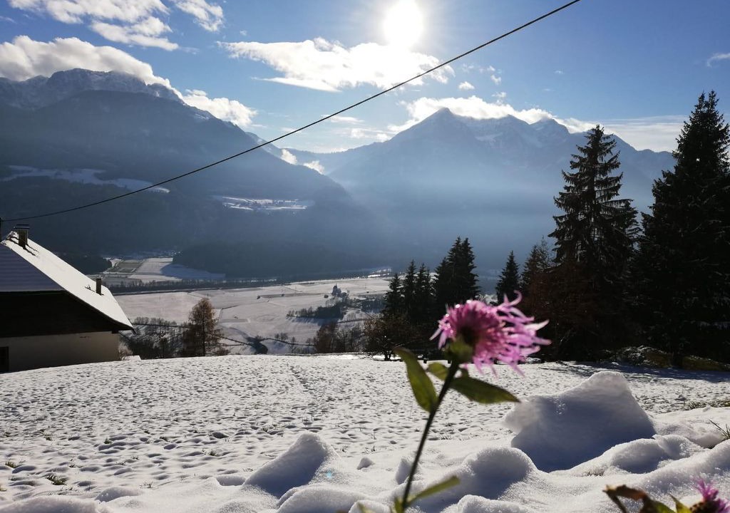 Photo of Others in Berg im Drautal
