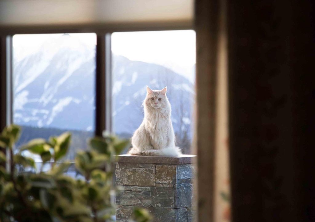 Photo of Others in Schildlehen