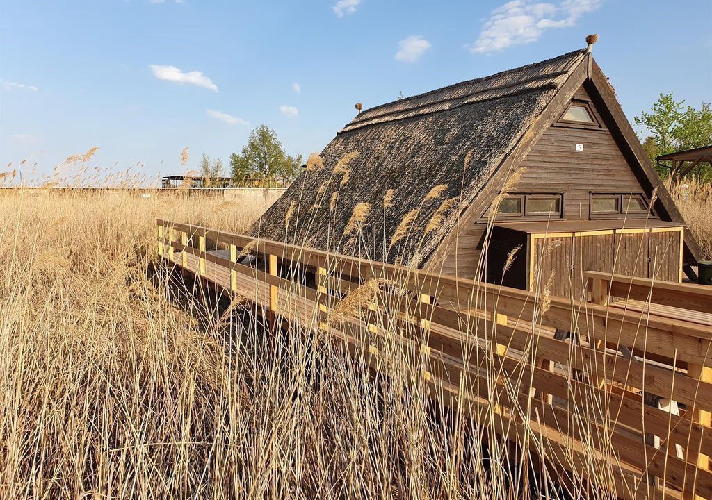 Photo of Outdoor in Rust