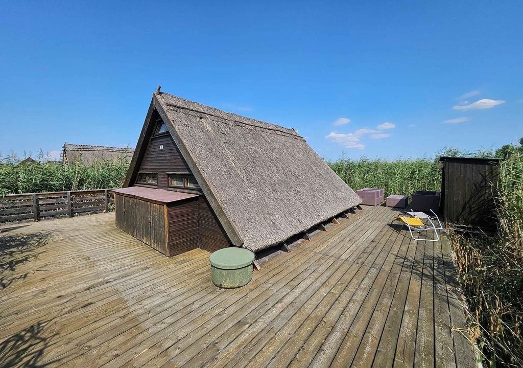 Photo of Outdoor in Rust
