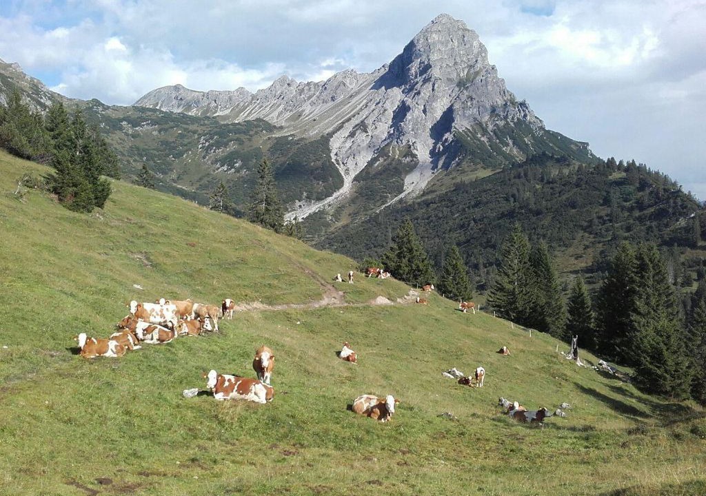 Photo of Others in Ausserbraz