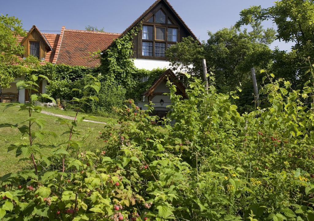 Photo of Outdoor in Harrachberg