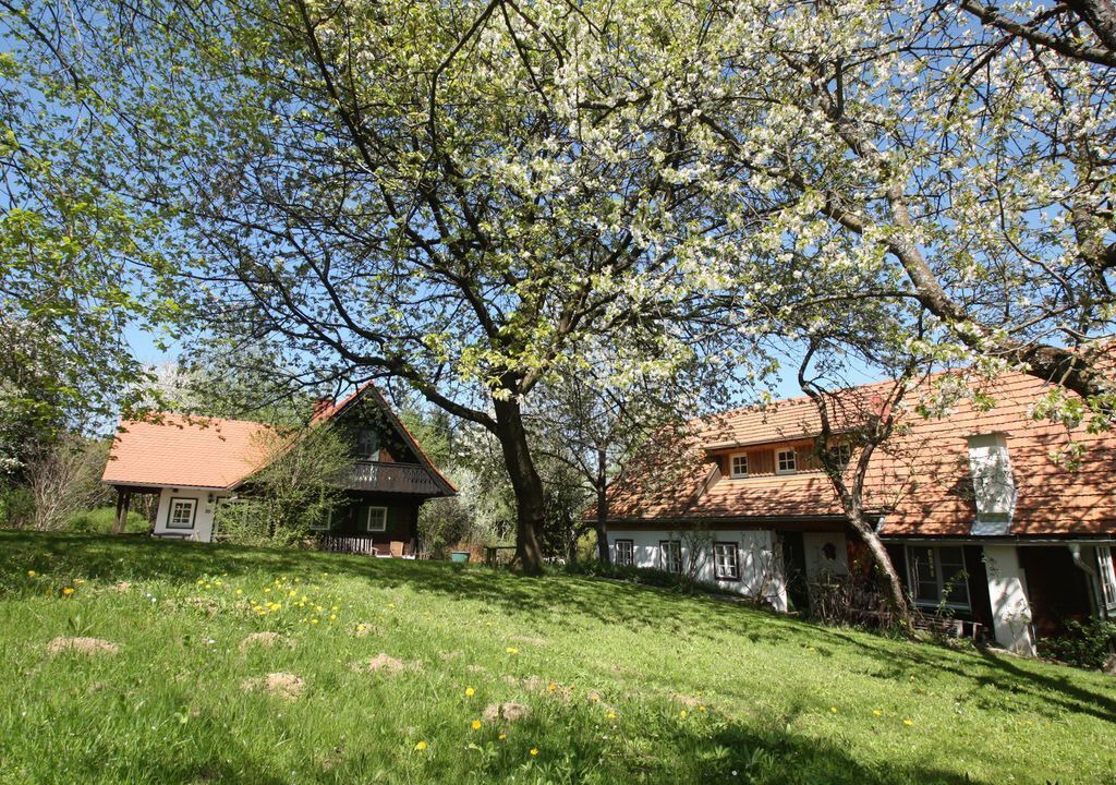 Photo of Outdoor in Kirchberg an der Raab