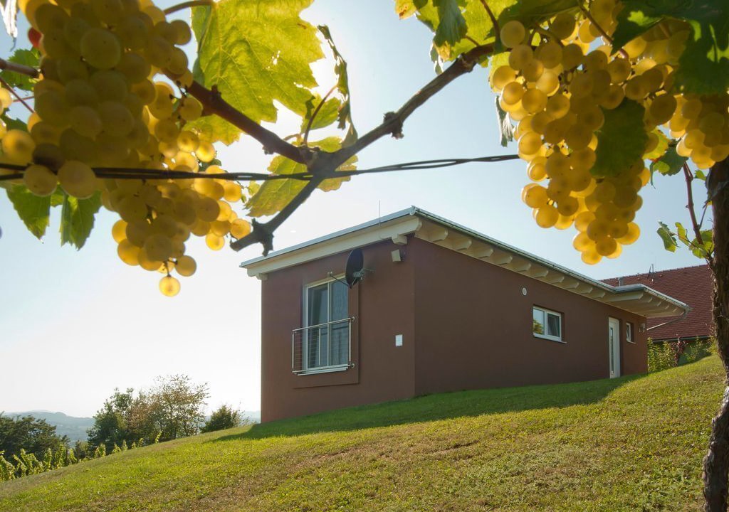 Photo of Outdoor in Gemeinde Hohenbrugg-Weinberg