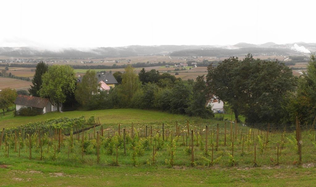Photo of Others in Gemeinde Hohenbrugg-Weinberg
