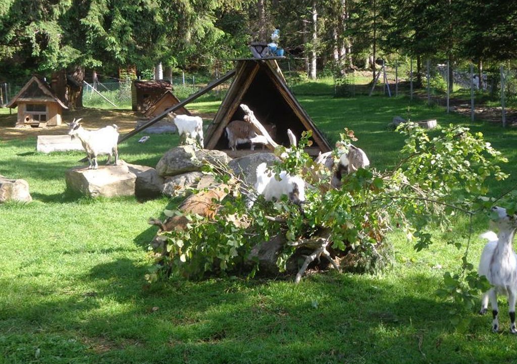 Photo of Others in Krakaudorf