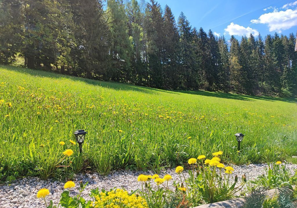 Photo of Outdoor in Edlbach