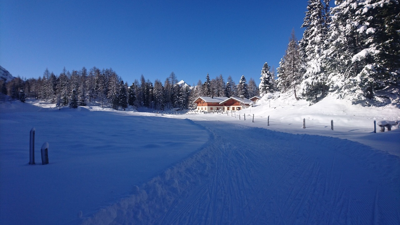 Photo of Others in Untertauern