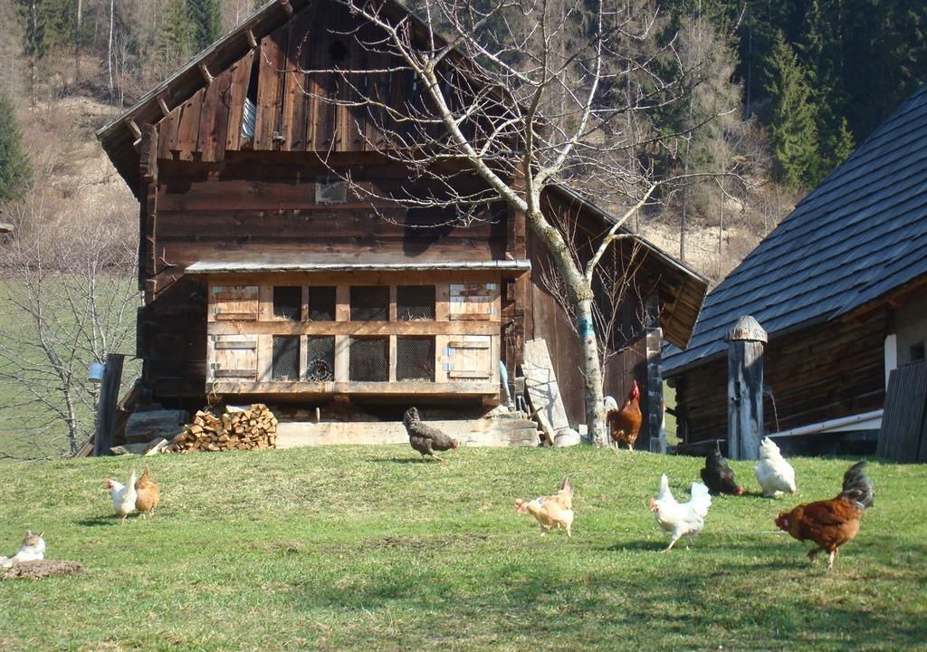 Photo of Outdoor in Schoeder