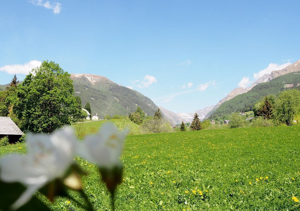 Photo of Others in Goeriach