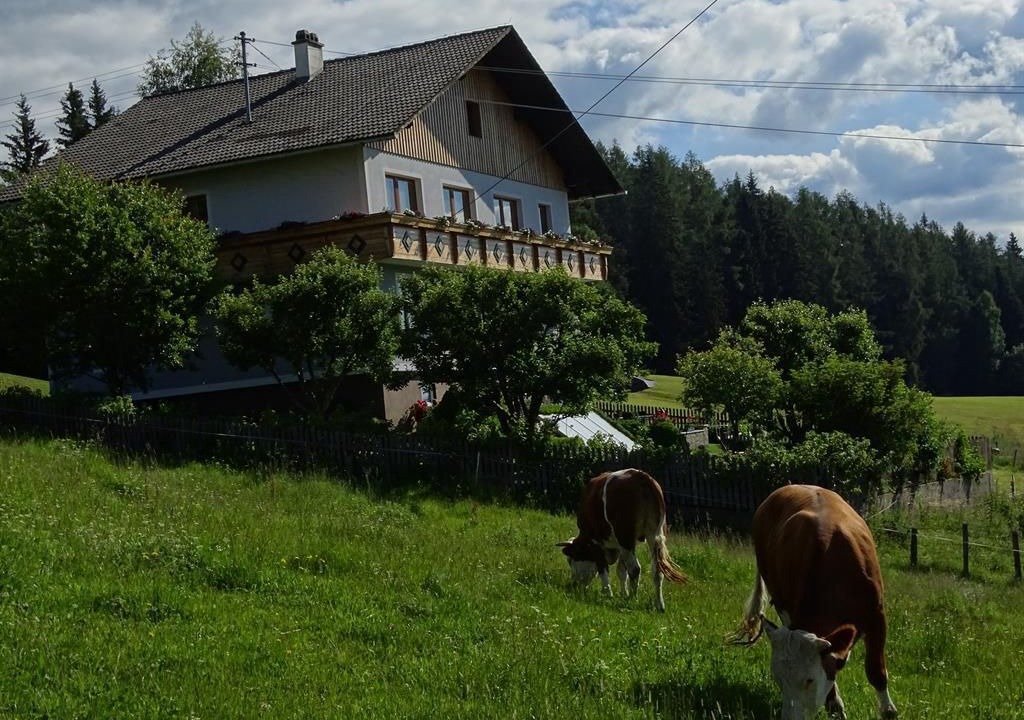 Photo of Outdoor in Sankt Peter am Kammersberg