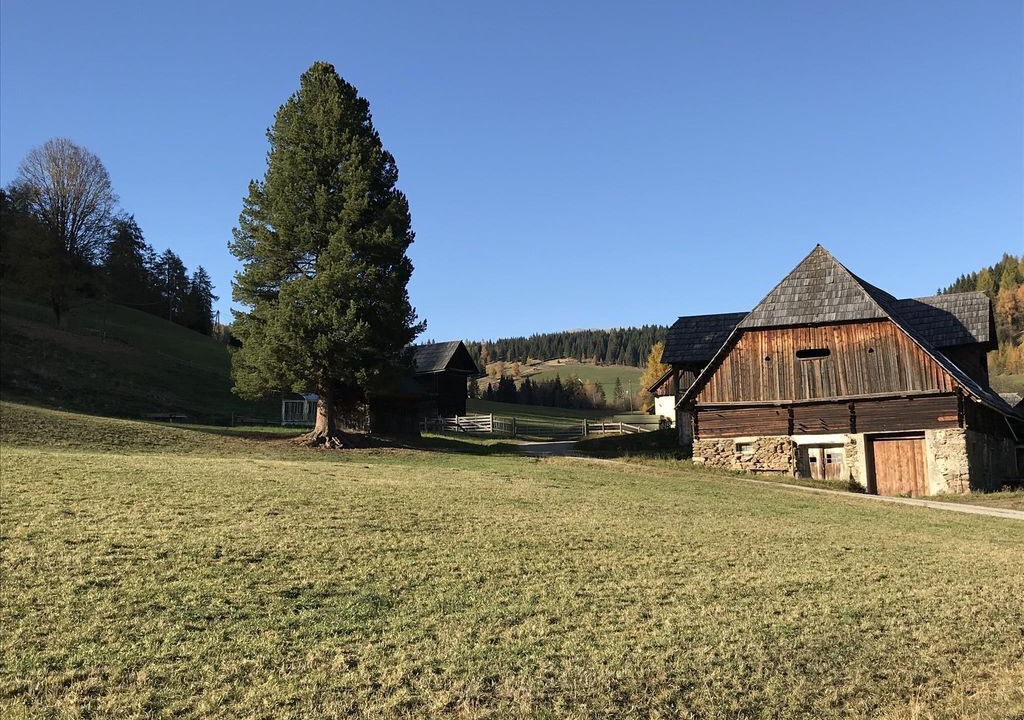 Photo of Outdoor in Sankt Ruprecht ob Murau