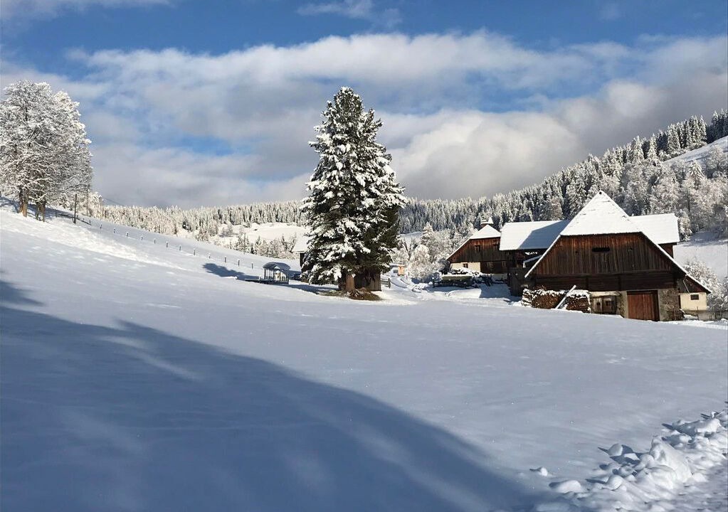 Photo of Outdoor in Sankt Ruprecht ob Murau