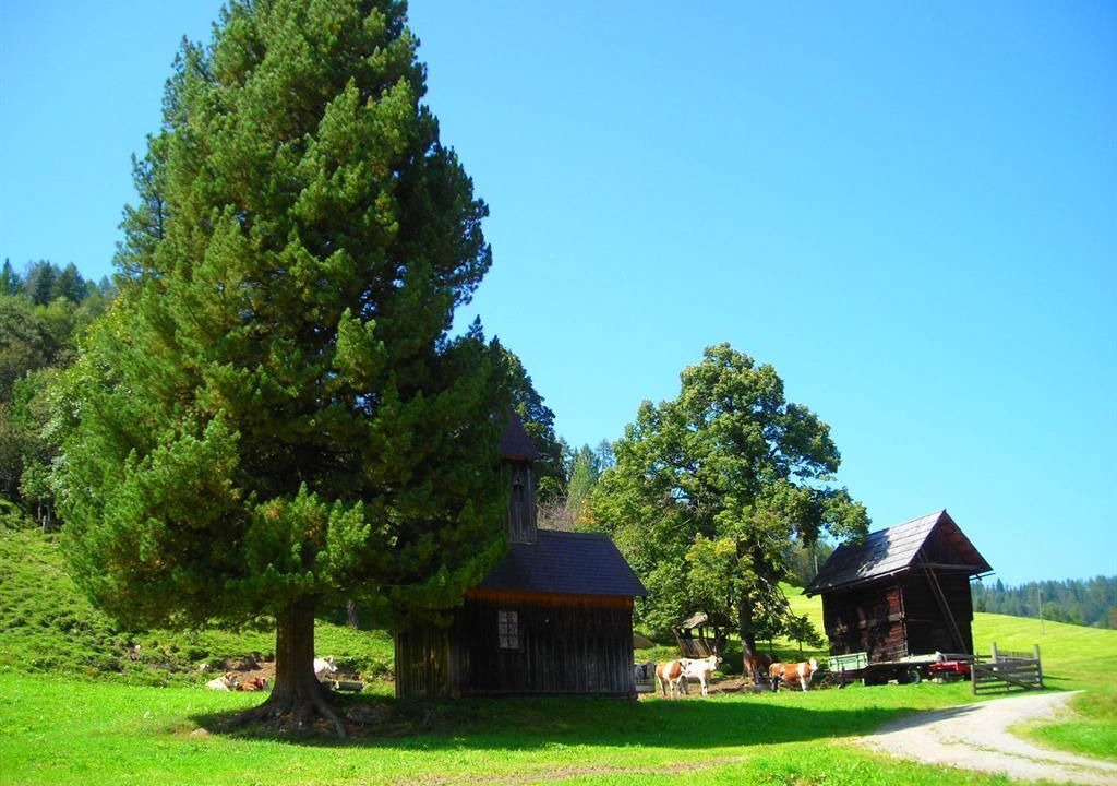 Photo of Outdoor in Sankt Georgen am Kreischberg