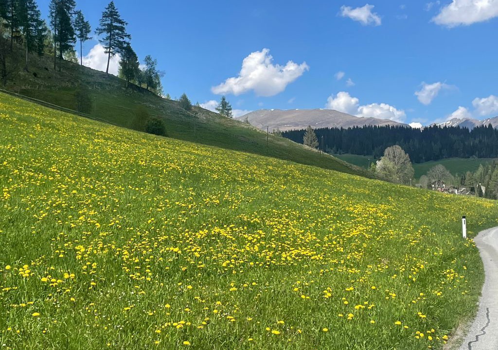 Photo of Others in Sankt Georgen am Kreischberg