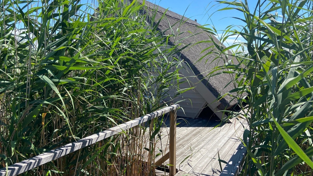 Photo of Outdoor in Rust
