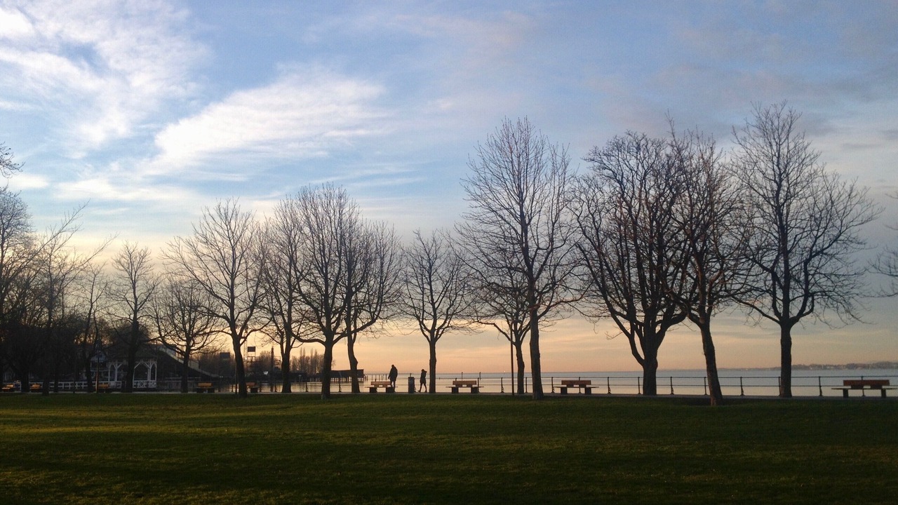 Photo of Others in Bregenz