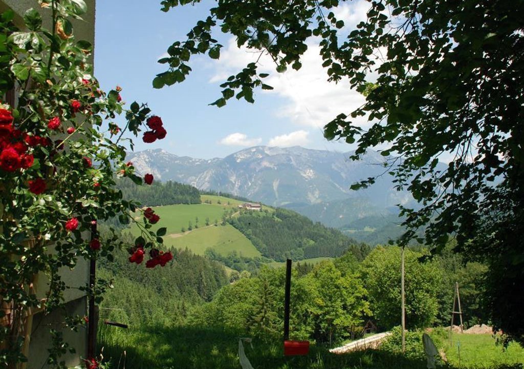 Photo of Outdoor in Vorderstoder