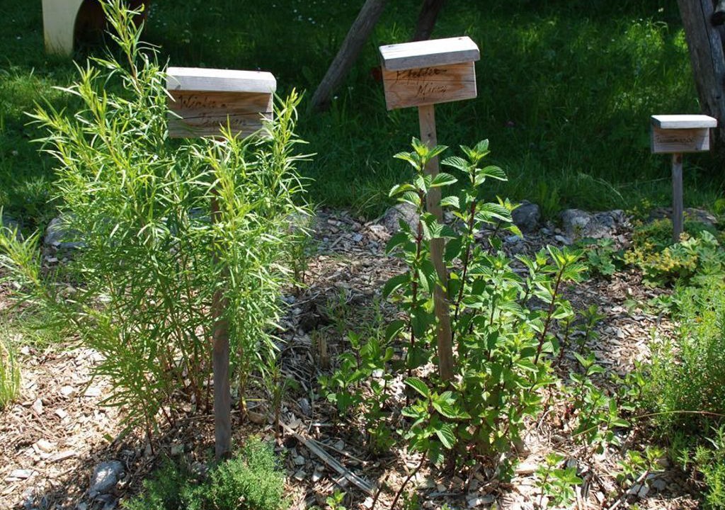 Photo of Outdoor in Vorderstoder