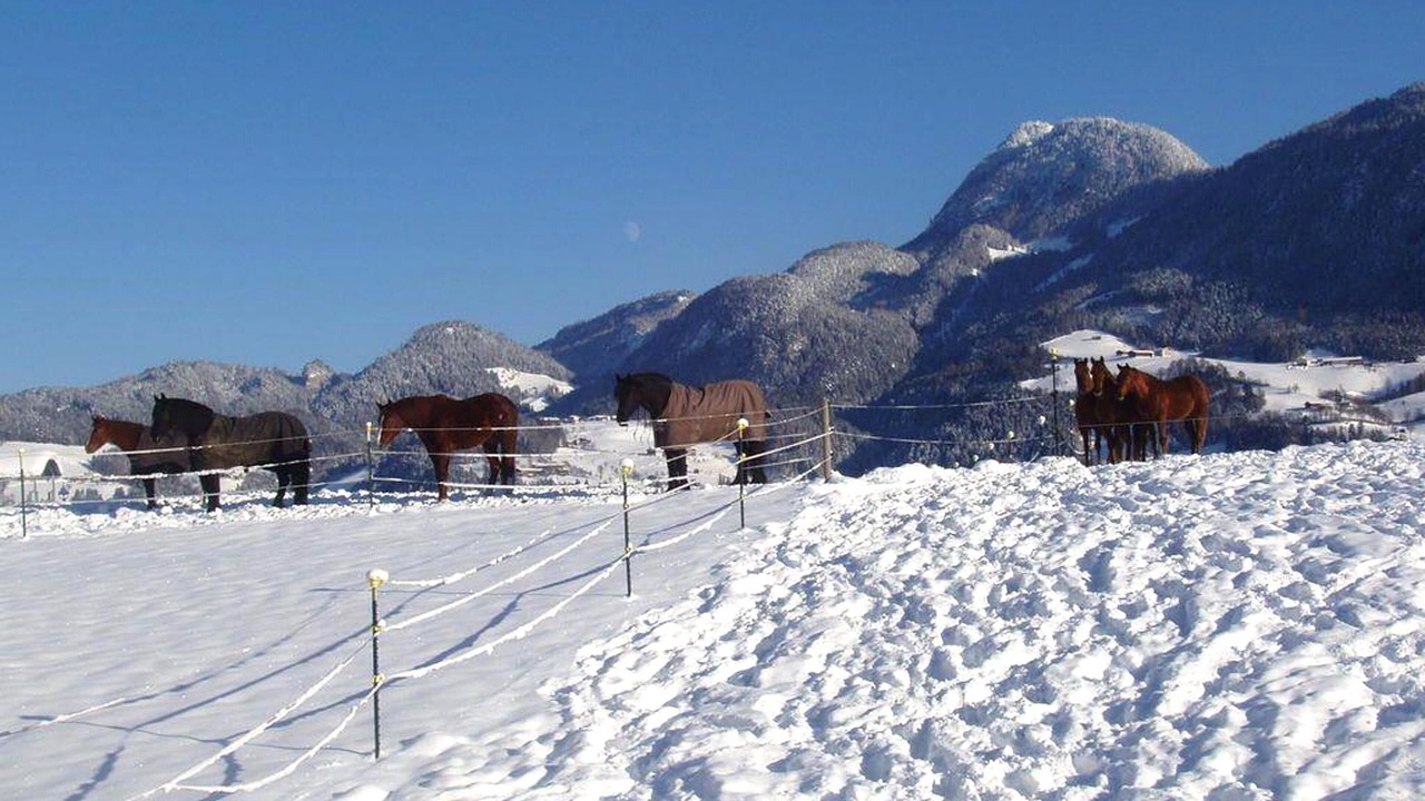 Photo of Others in Reith im Alpbachtal