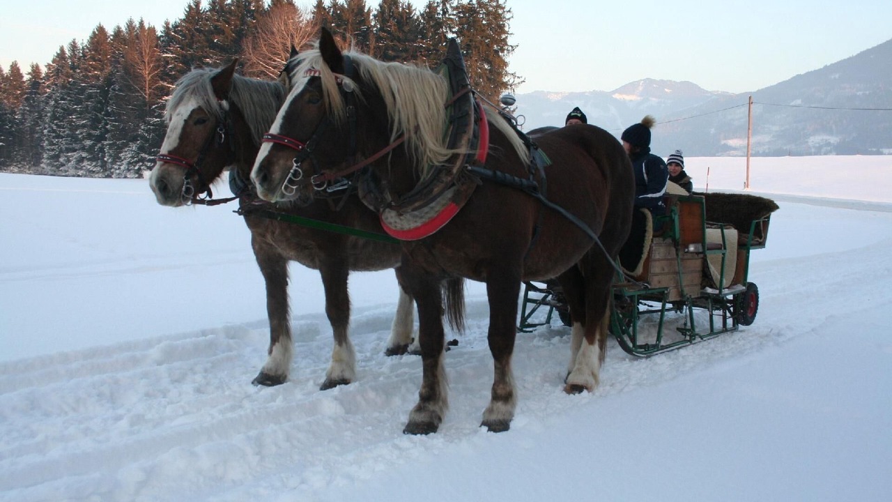Photo of Others in Pruggern