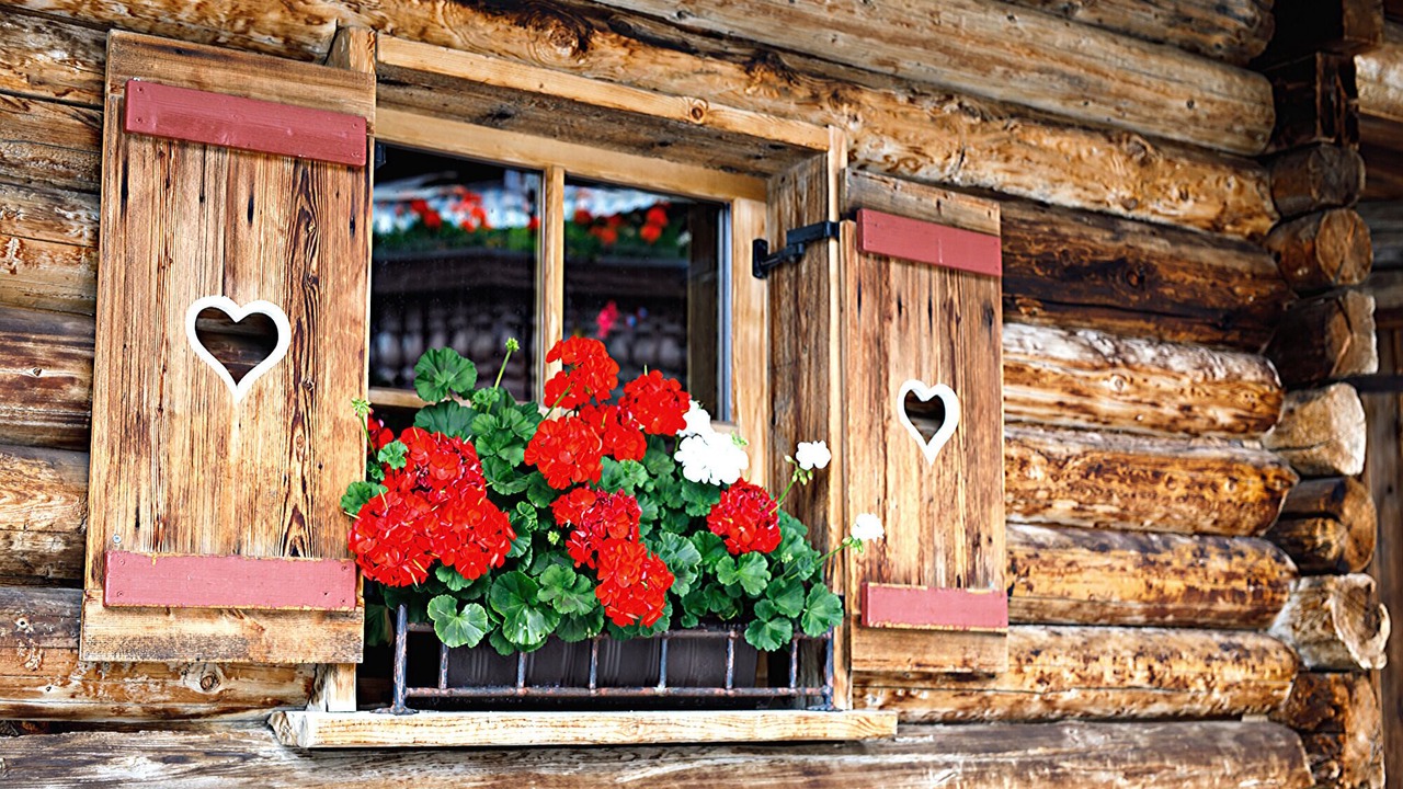 Photo of Outdoor in Virgen