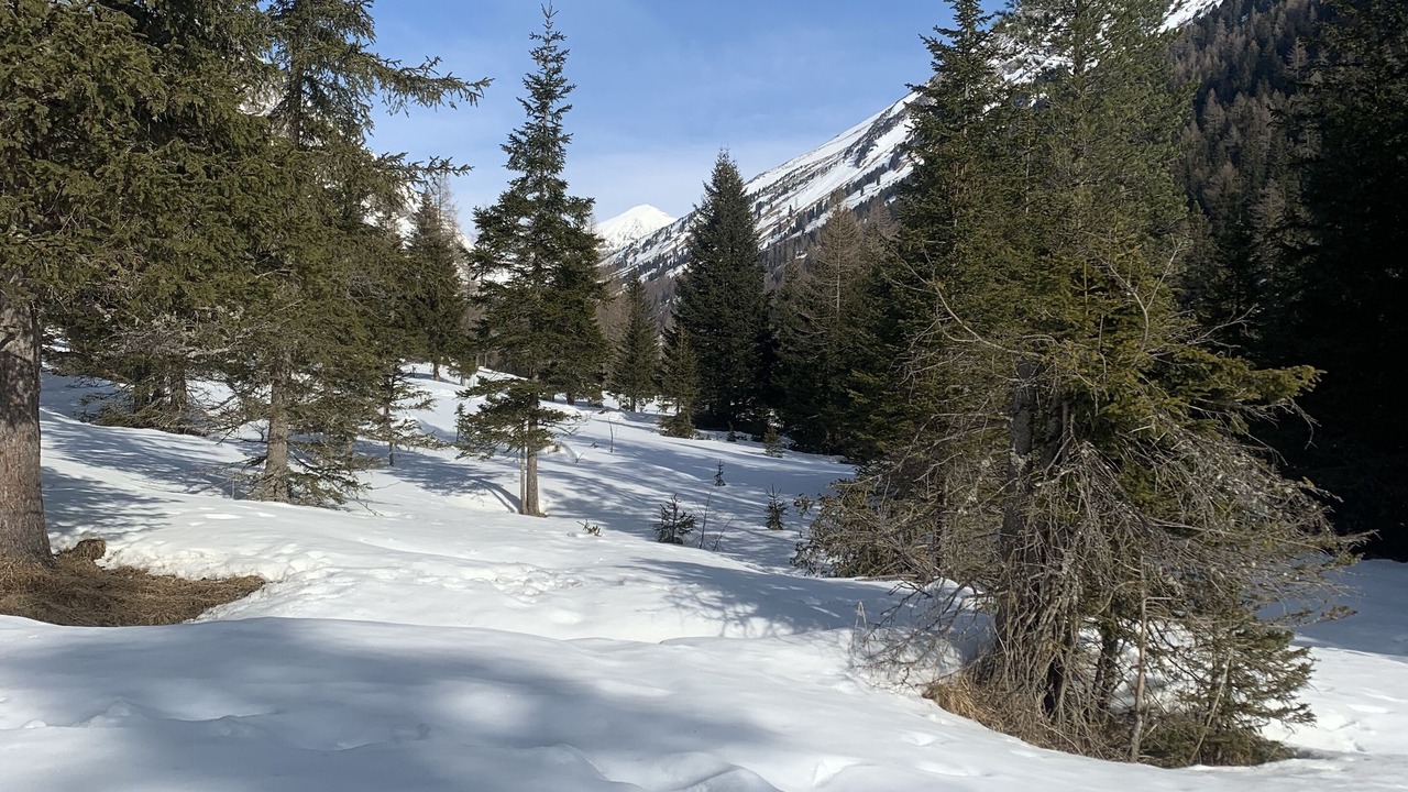 Photo of Outdoor in Krakauhintermuehlen