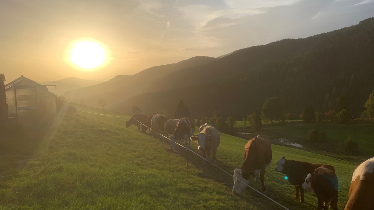 Photo of Others in Krakauhintermuehlen