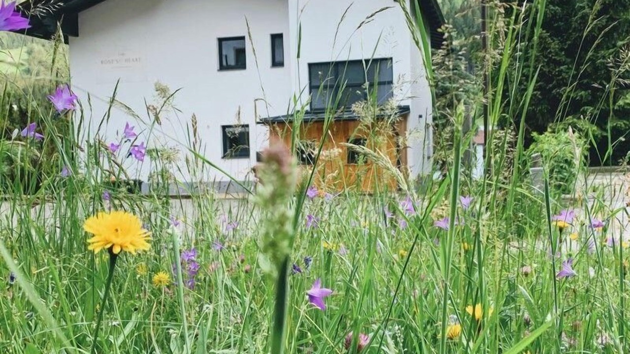 Photo of Outdoor in Untertschern