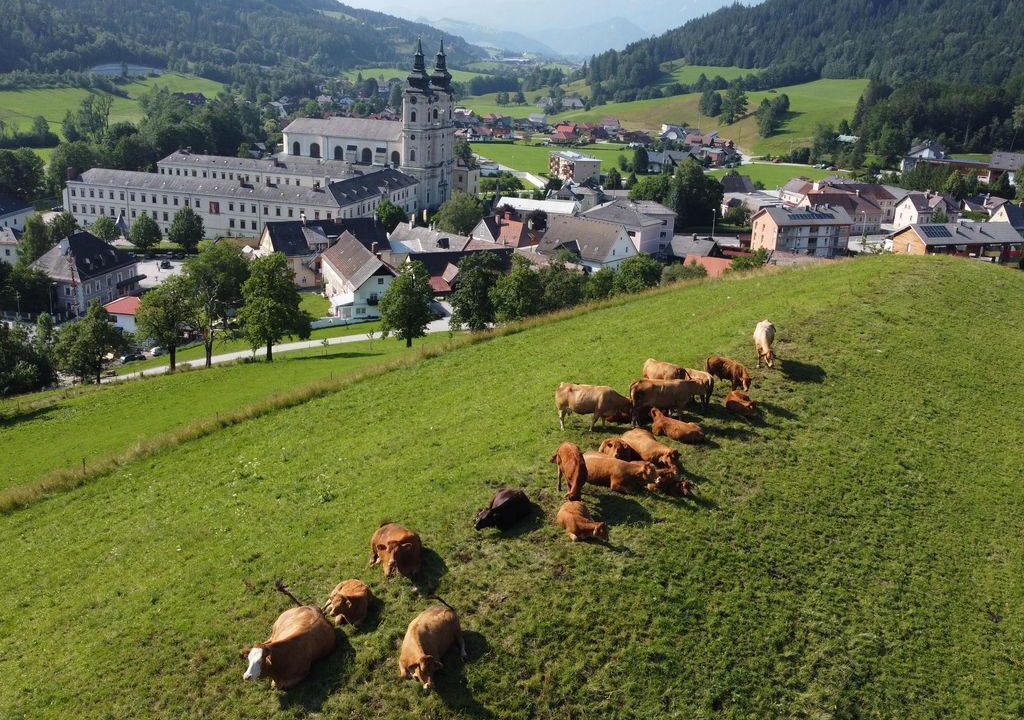 Photo of Outdoor in Spital am Pyhrn