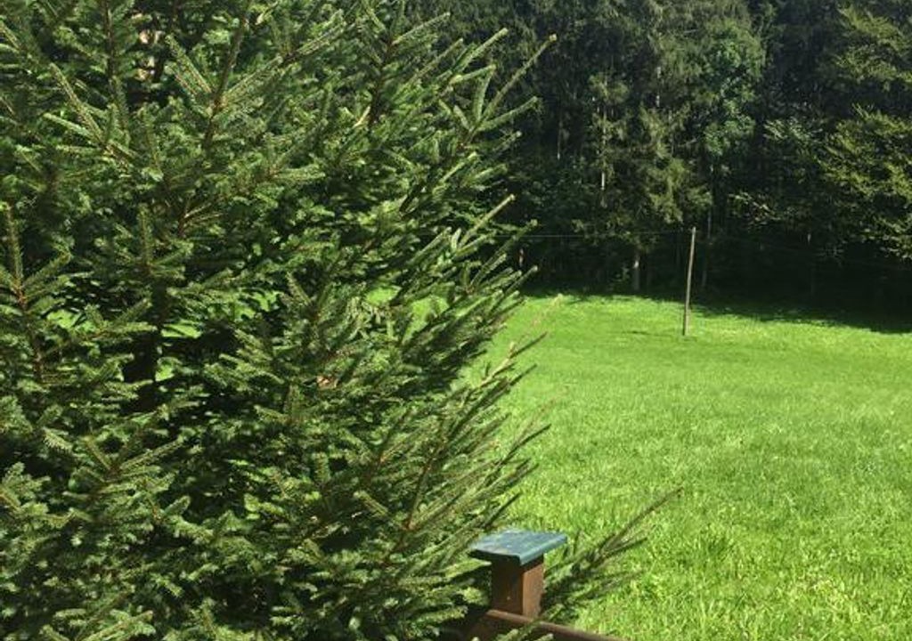 Photo of Outdoor in Hinterstoder