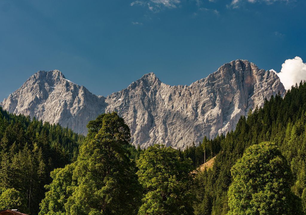 Photo of Others in Schildlehen