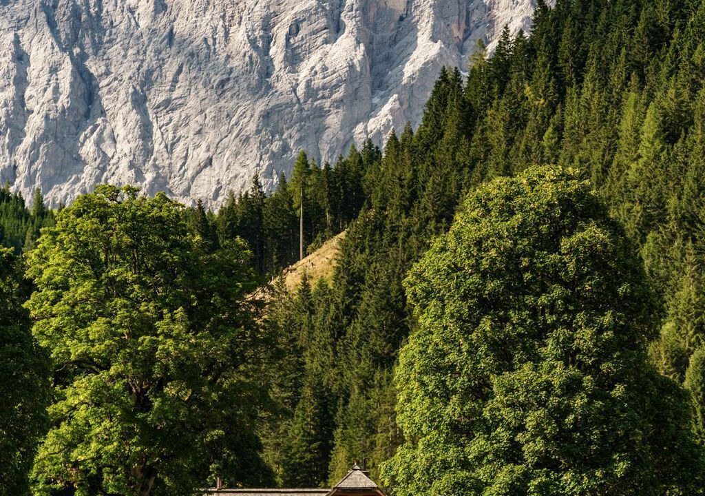 Photo of Others in Schildlehen
