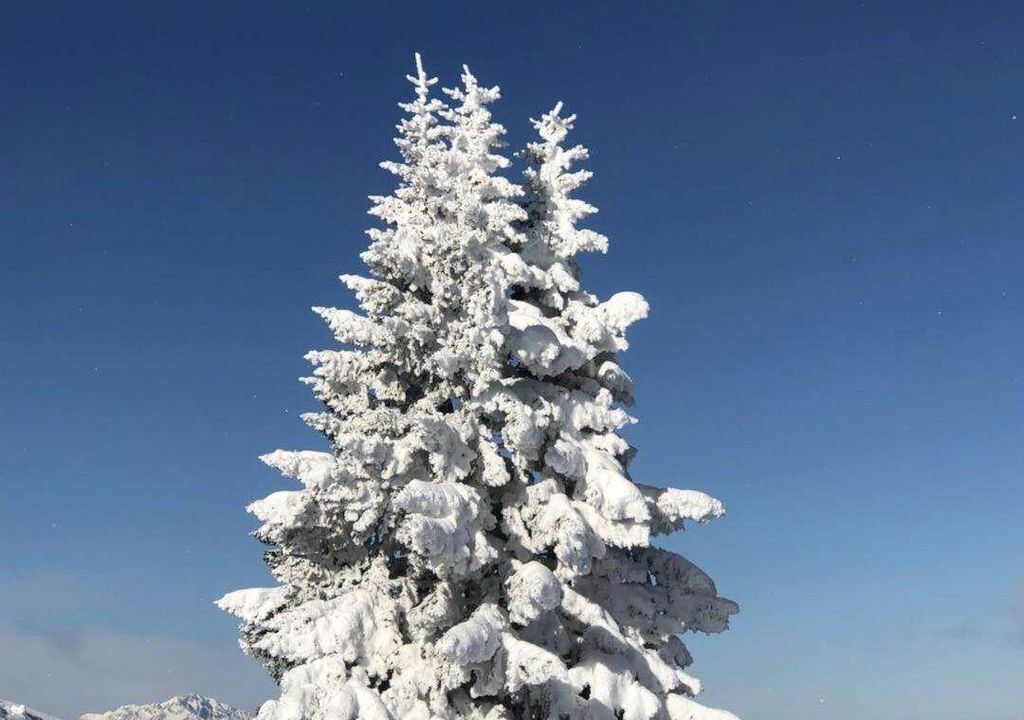 Photo of Others in Annaberg im Lammertal