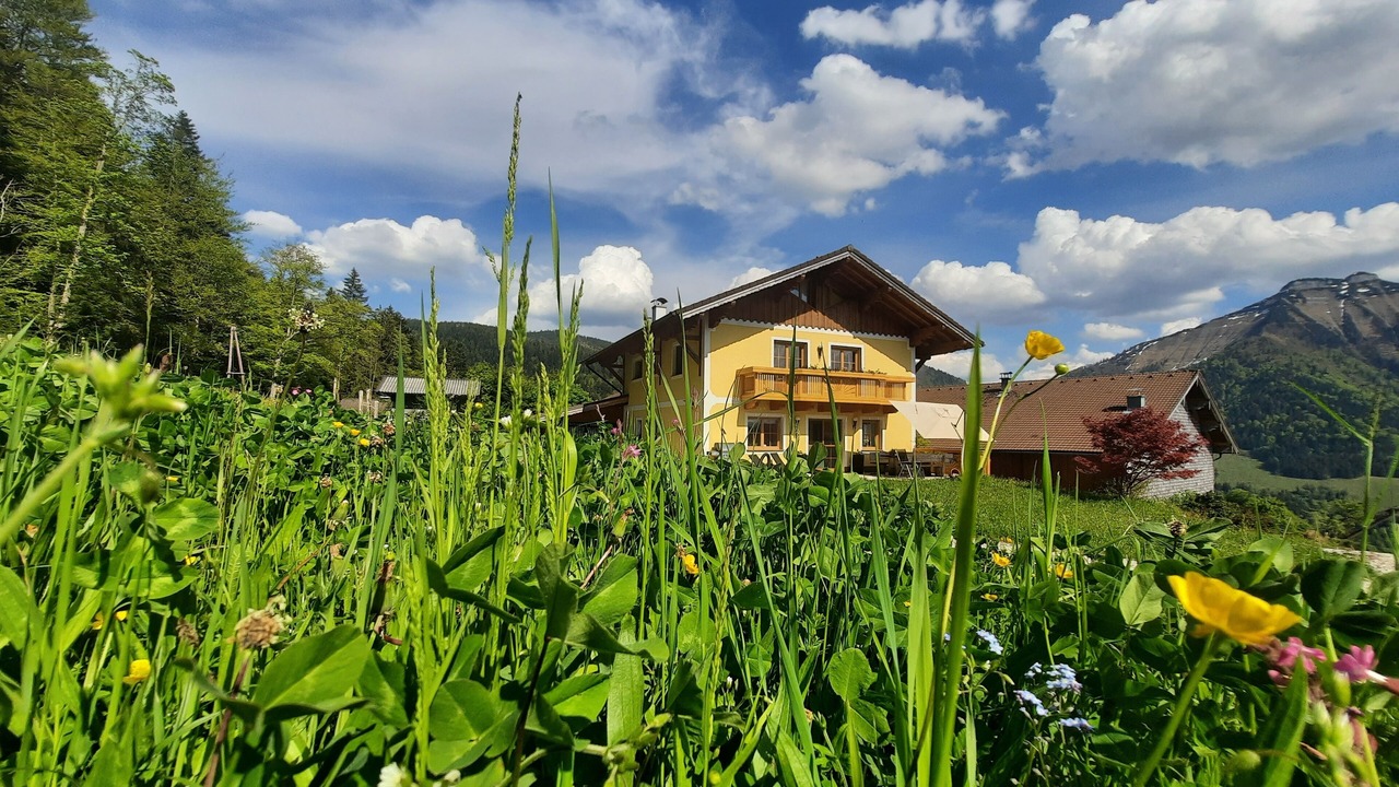 Photo of Outdoor in Krispl