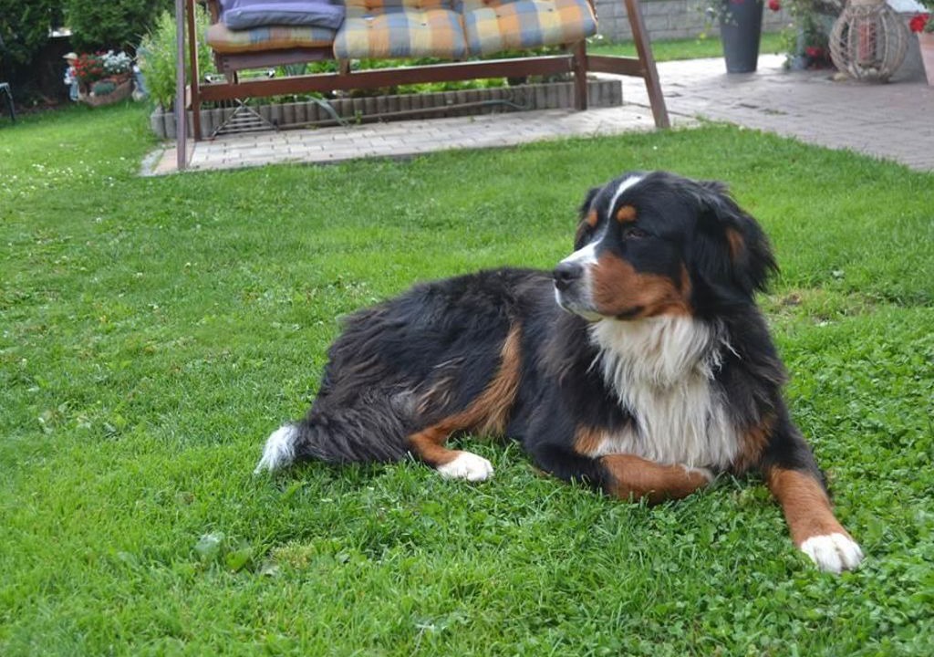 Photo of Outdoor in Mariapfarr