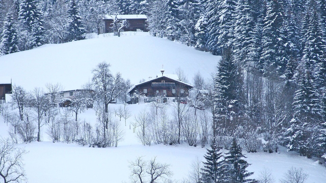 Photo of Others in Abtenau
