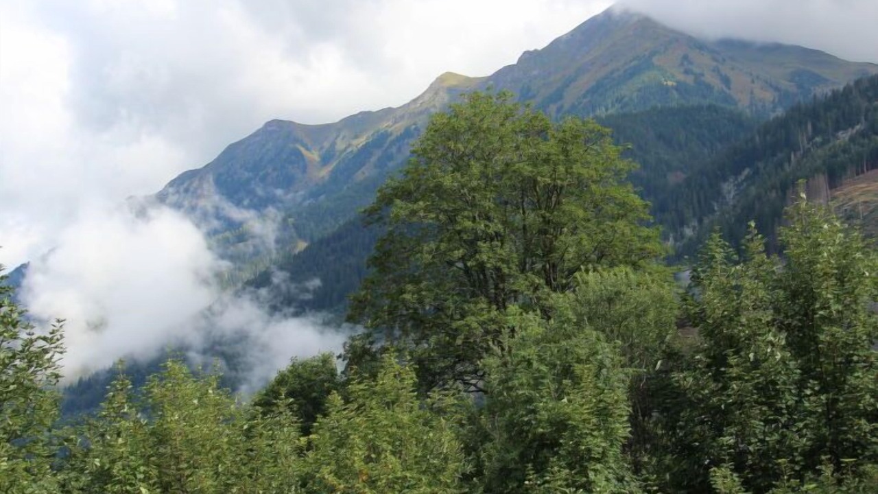 Photo of Others in Bad Gastein